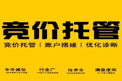 百度竞价推广经典案例解读